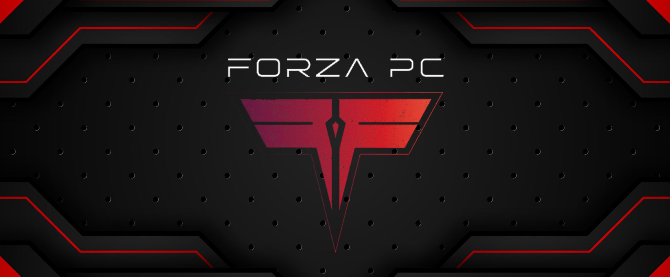 Cooperation forza pc